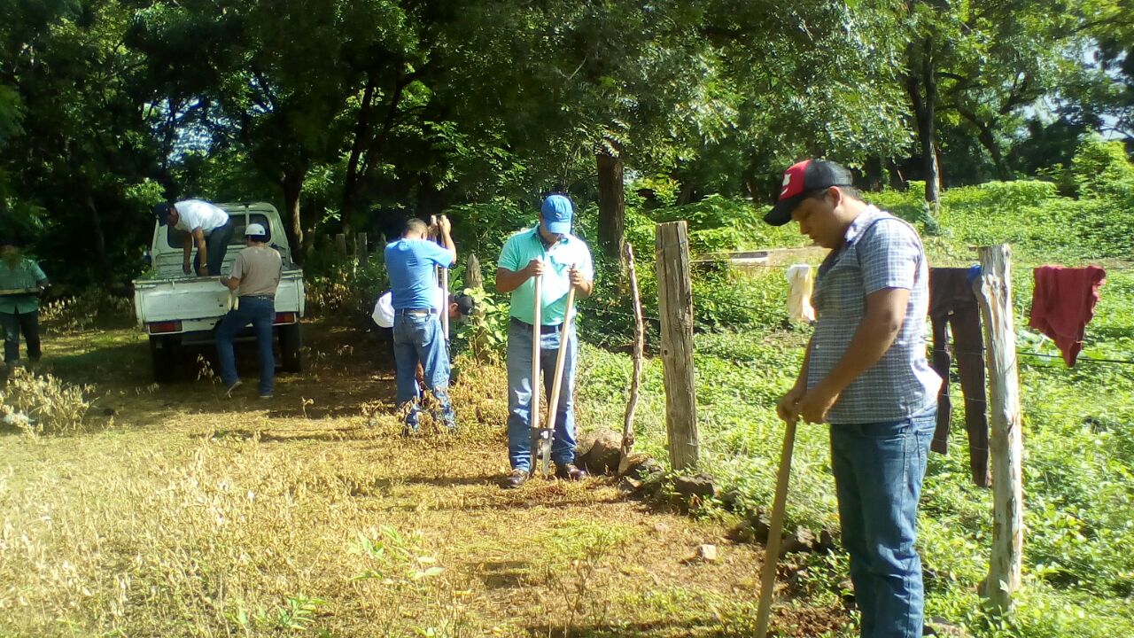 Reforesta2